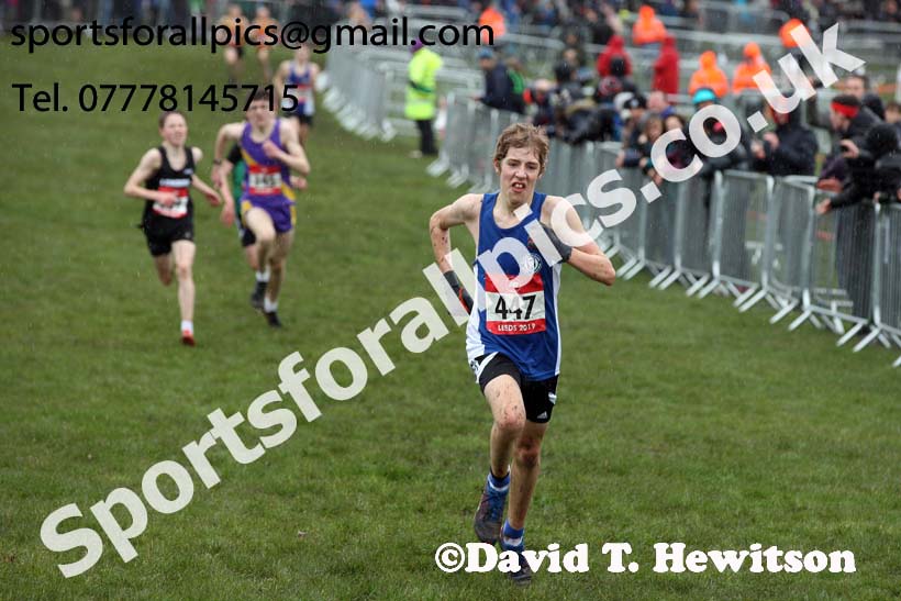 Junior boys 2019 New Balance English Schools Cross Country Champs, Temple Newsam, Leeds. Photo:  David T. Hewitson/Sports for All Pics